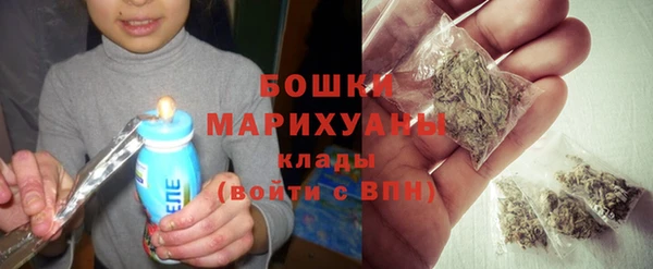 дмт Богородицк
