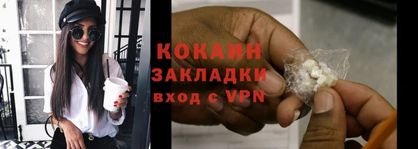 дмт Богородицк