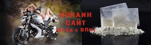 дмт Богородицк