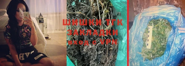 дмт Богородицк