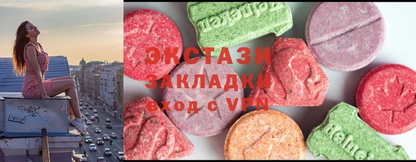 дмт Богородицк