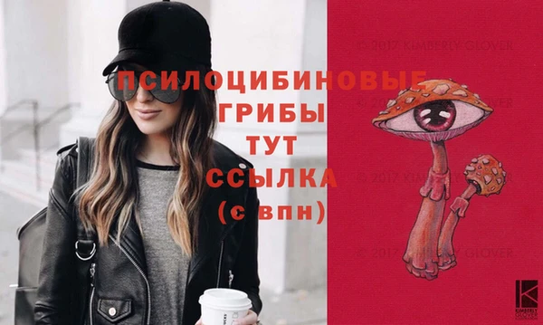 дмт Богородицк